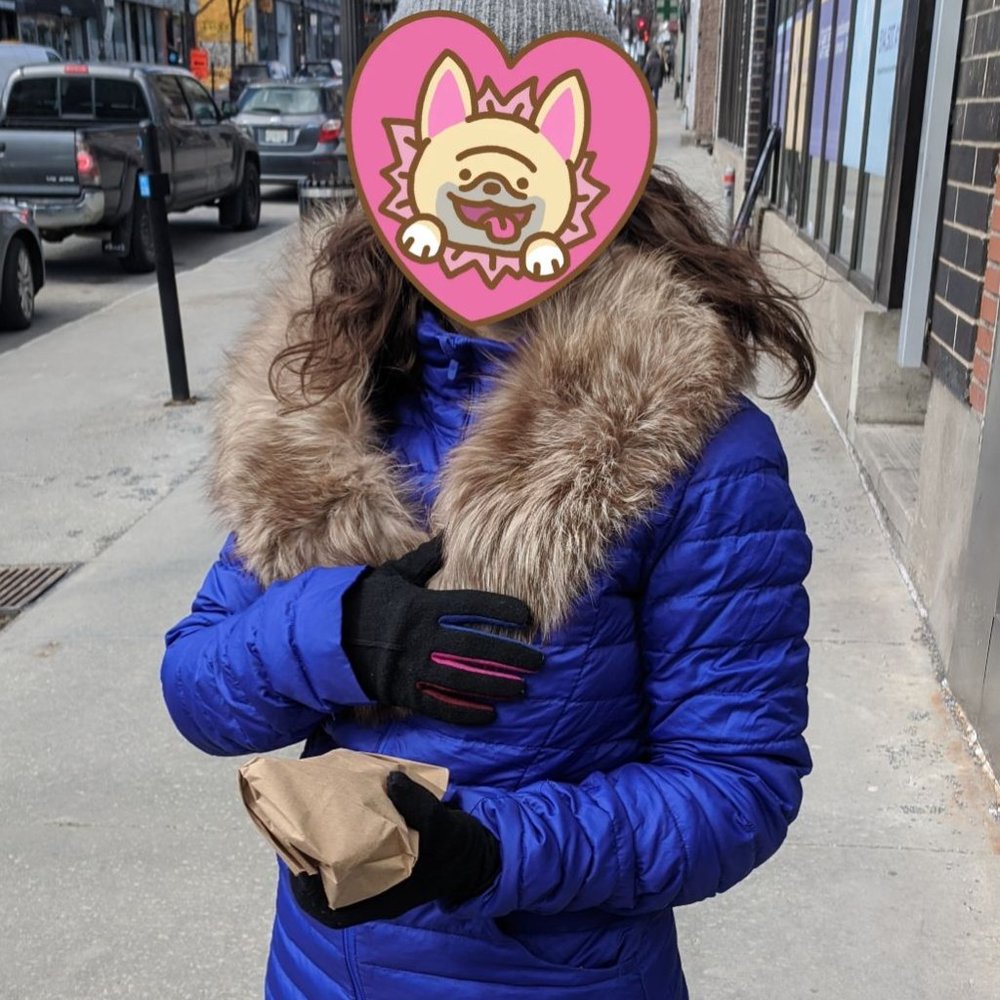 COPY - Fur collar or stole